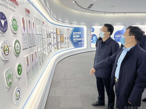 趙縣領導調研維爾利集團智慧工廠，為企業管理與品牌建設賦能提速